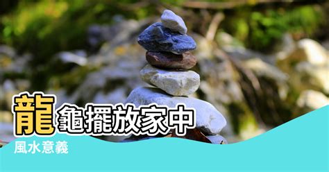 龍龜配戴禁忌|【龍龜 禁忌】龍龜禁忌大公開！擺放前必知的風水秘辛